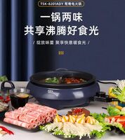 鴛鴦電火鍋 TSK-8201ADY